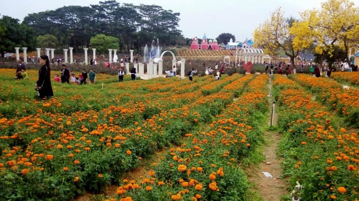 电视剧百卉谷，自然美景之旅，探寻内心宁静与平和的旅程