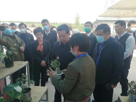濮阳玉米价格实时动态更新