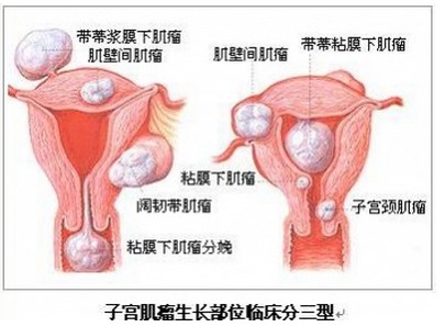 装饰材料 第259页