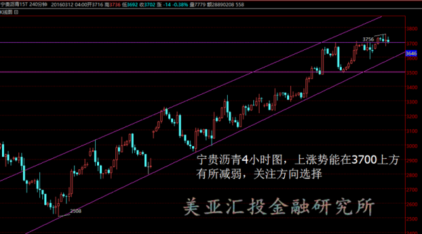 股票行情视频讲解揭秘，小巷里的股市宝典与实战策略