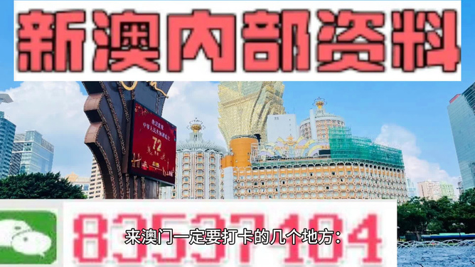 ＂2024澳门精准正版免费大全＂的：專家解析意見_豪华款3.94