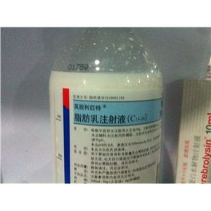 脂肪乳的价格，自我投资与成长的励志探索