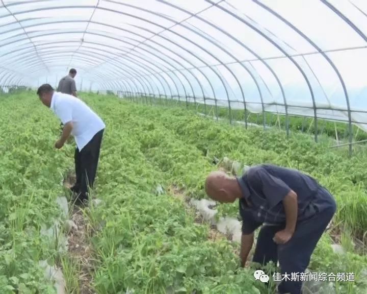 固镇魅力小镇，最新资讯与热门话题一网打尽