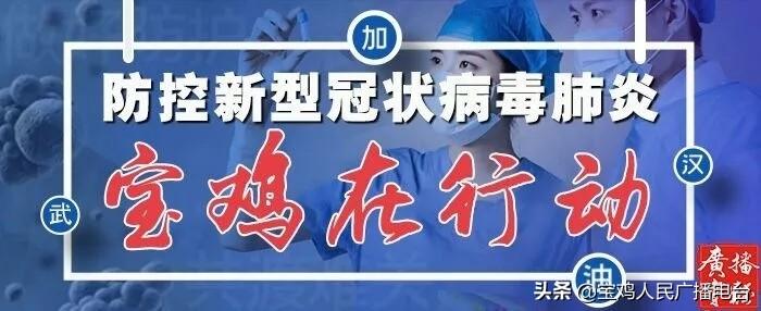 最新宝鸡楼市价格,最新宝鸡楼市价格详解，如何了解与把握市场动态