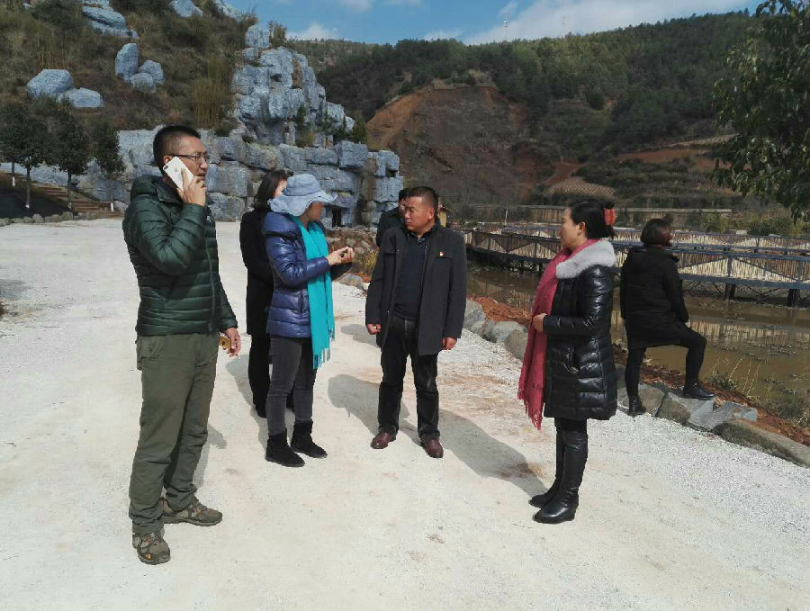 倘甸小镇，最新资讯与温馨日常的朋友情奇旅