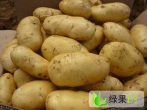 平度土豆最新价格行情及深度分析