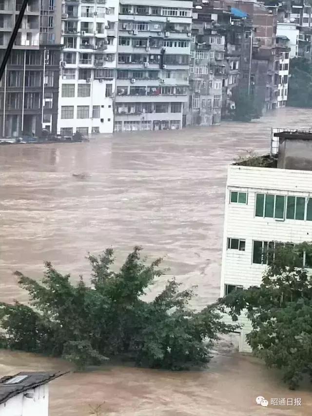 天鸽最新动态今日，小巷中的隐藏宝藏揭秘