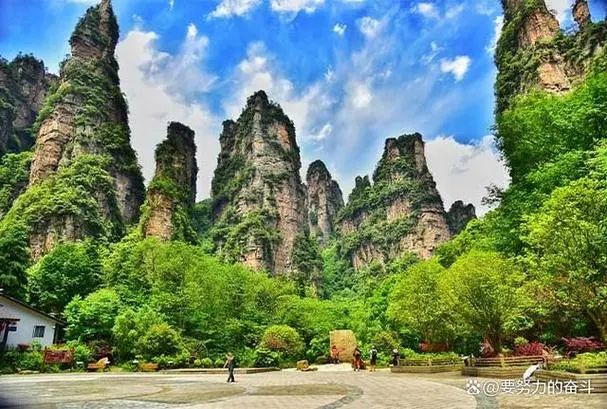 张家界门票探秘，自然瑰宝的巷深之旅
