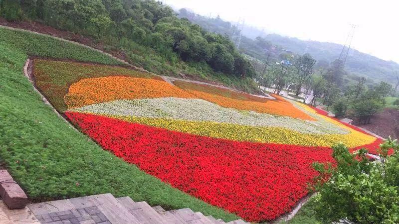 江津滨江新城最新动态更新速递