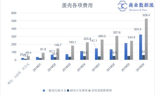 蛋壳公司最新动态，友情陪伴下的温暖日常