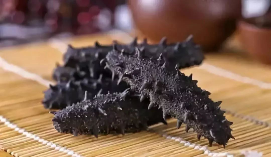 一斤辽参价格背后的温情故事