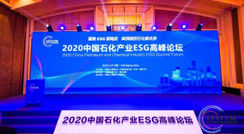 中国石化上市，科技引领能源革新，开启石化新纪元体验之旅