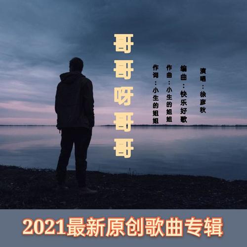 哥哥最新网站，日常趣事与情感纽带的分享与交流