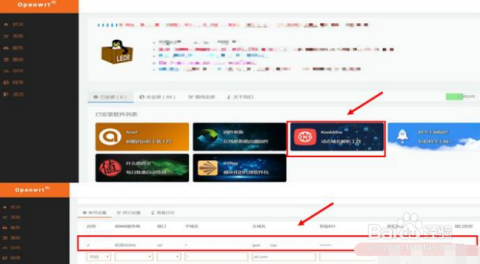 最新域名更新信息及网络世界的动态变化，你与网络的同步更新
