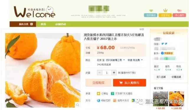 丑柑成熟上市时刻，见证变化的力量与自信的果实之旅