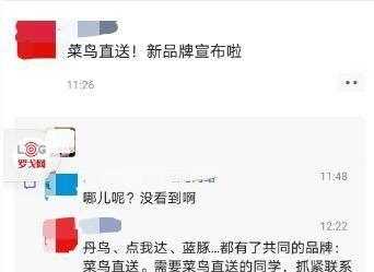 菜鸟最新动态更新，菜鸟最新消息速递