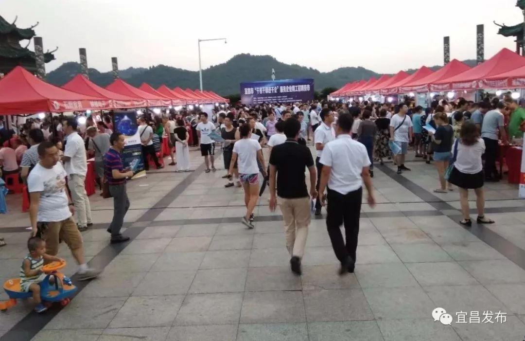 北山最新招聘及求职步骤指南