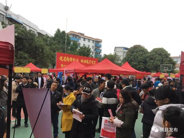 横县最新招聘趋势及人才需求深度分析与展望