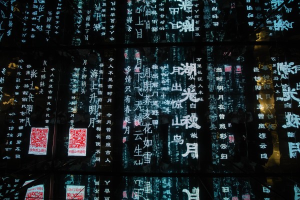 月光如水照心扉，学习、变化与自信的探索之旅