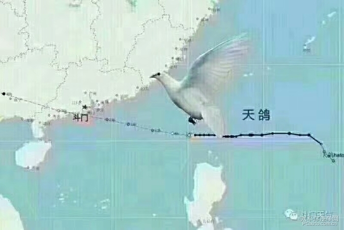 天鸽最新消息汇总，23日动态报告