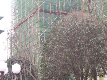 长沙三润城科技新品亮相，重塑未来生活体验最新消息