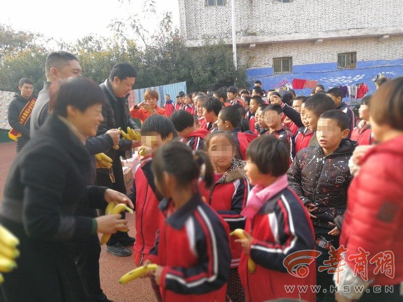 渭南童趣乐园探秘，6岁儿童的意外发现与最新消息