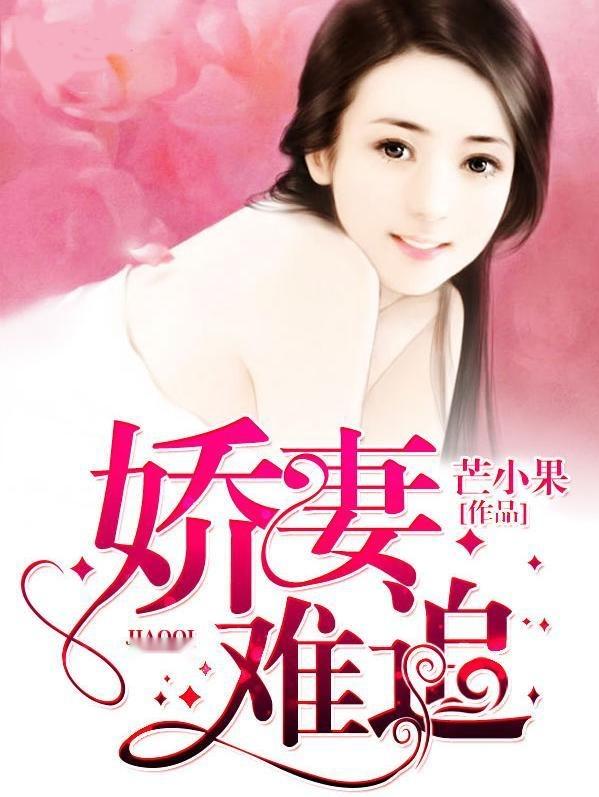 念凉凉薄乔衍，情感波折的追寻最新章节介绍