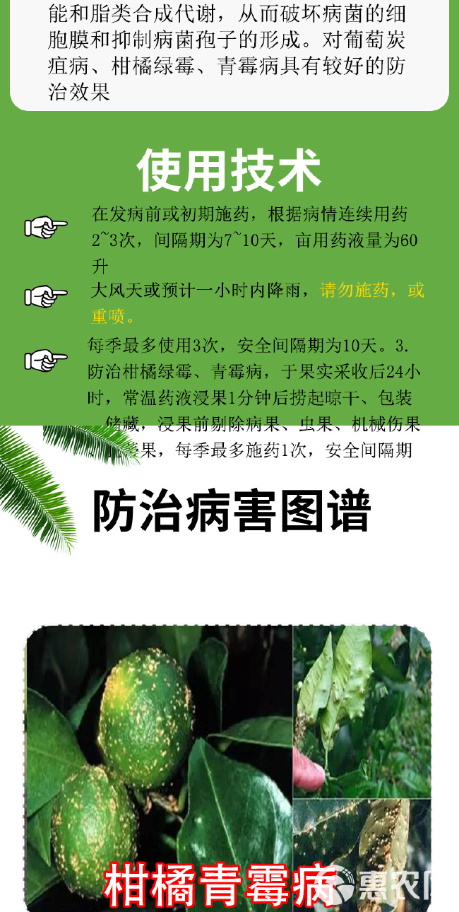 柑桔溃疡病最新特效药探索，自然美景之旅与心灵宁静的追寻
