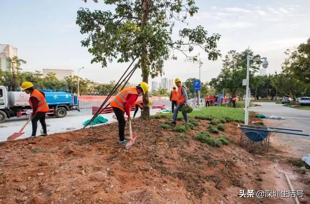 深肇高铁最新动态与小巷独特小店探秘