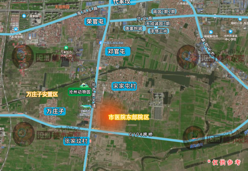 沧州市东部最新动态概览，最新消息与指南