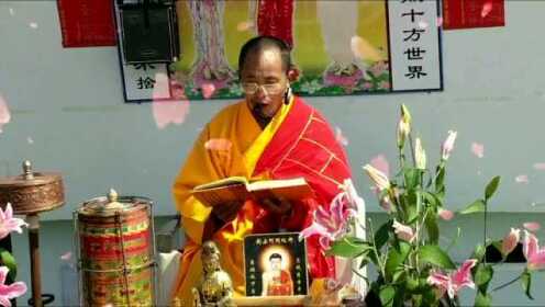 东天目山最新往生视频，自然之旅的心灵探索之旅