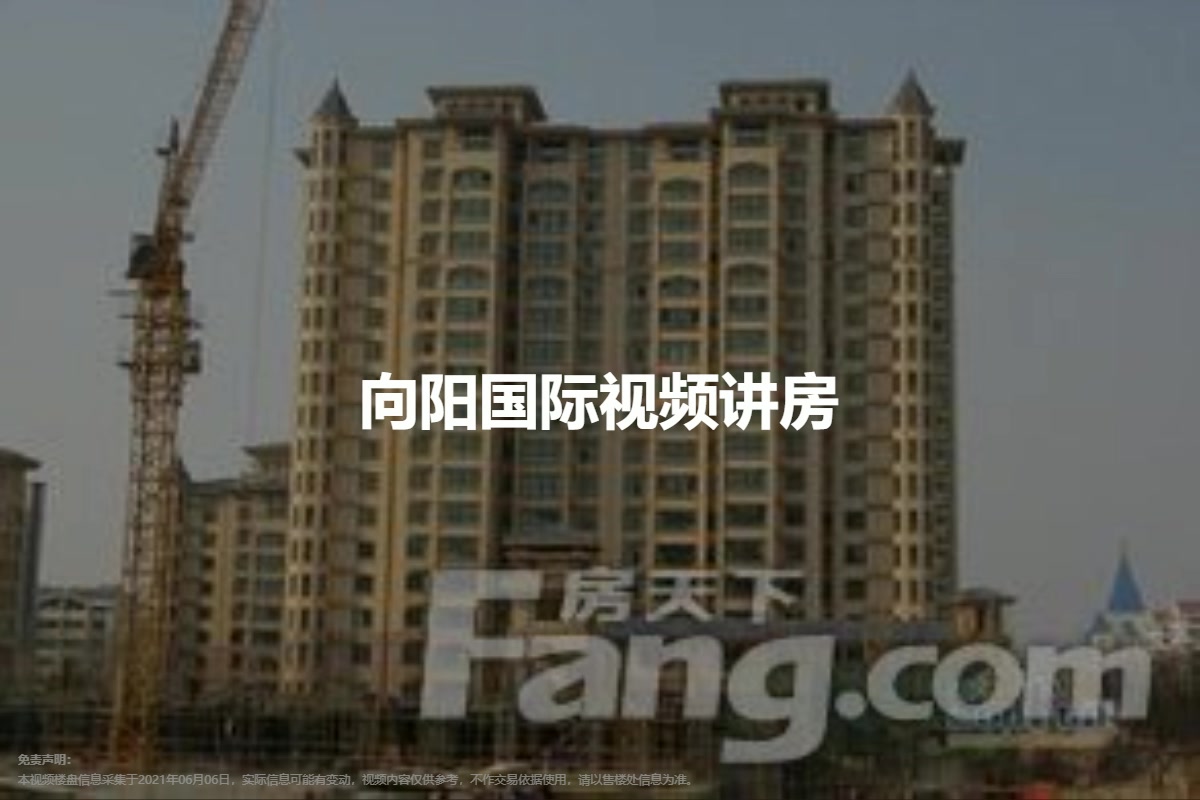 南阳同晟国际最新动态及相关论述揭秘