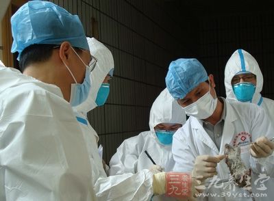 科技助力下的疫情监控最新动态，共筑防线，守护健康