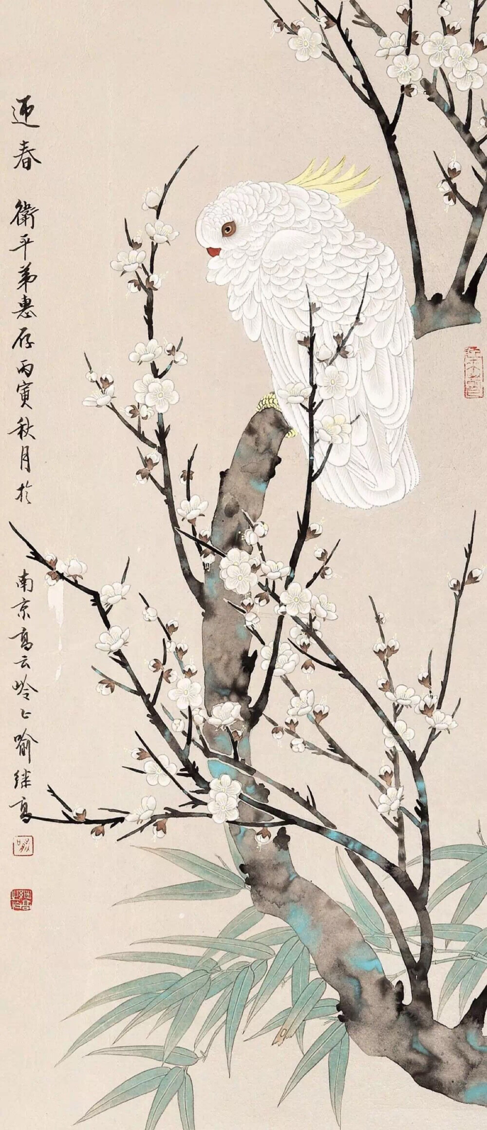 花鸟最新话，绘出自然之美的精彩篇章