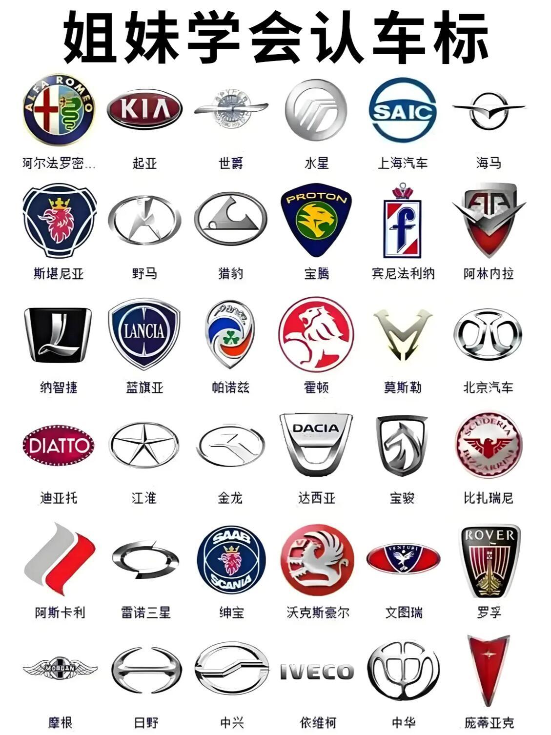 最新车标认知，时代印记与进步的象征