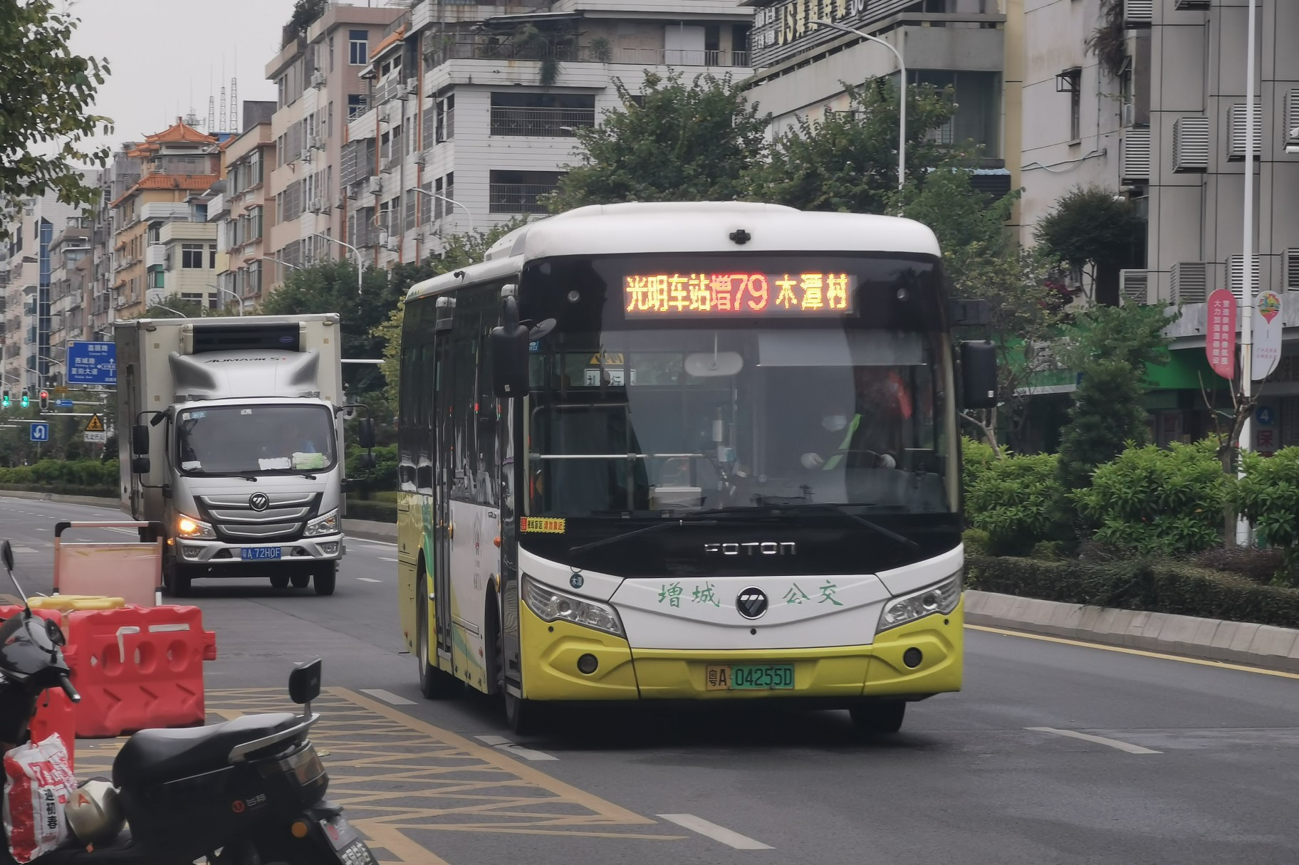 最新动态揭秘，79路公交车带你领略独特魅力与最新变化