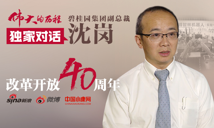 沈岗最新，多维度探讨与观点阐述