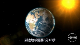 探索地球最新网，小巷深处的独特美食之旅