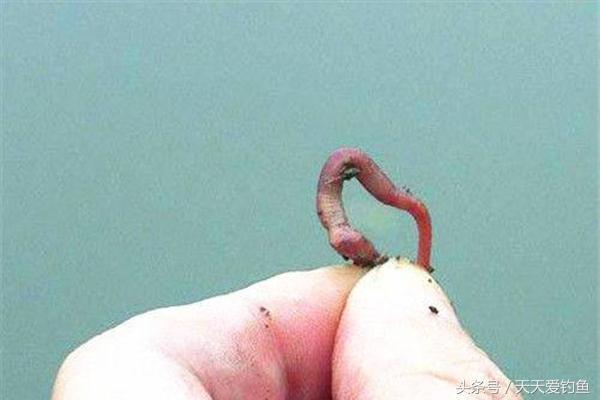 最新在线浮力，快乐与陪伴一网打尽