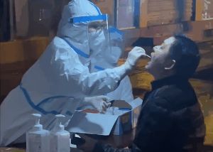 成都疫情最新动态，自然探索之旅寻求内心平和