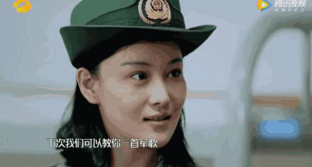 神秘宝藏隐藏在小巷中的最新神犬揭秘