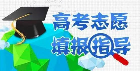 广西高考最新动态，最新消息与观点论述