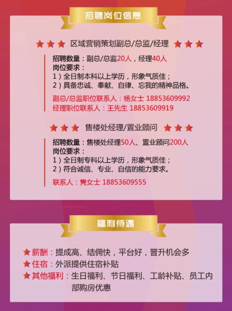 潍坊最新招聘信息，职场之旅中的欢笑与友情探索