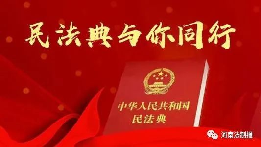 最新法律新闻下的温馨日常报道