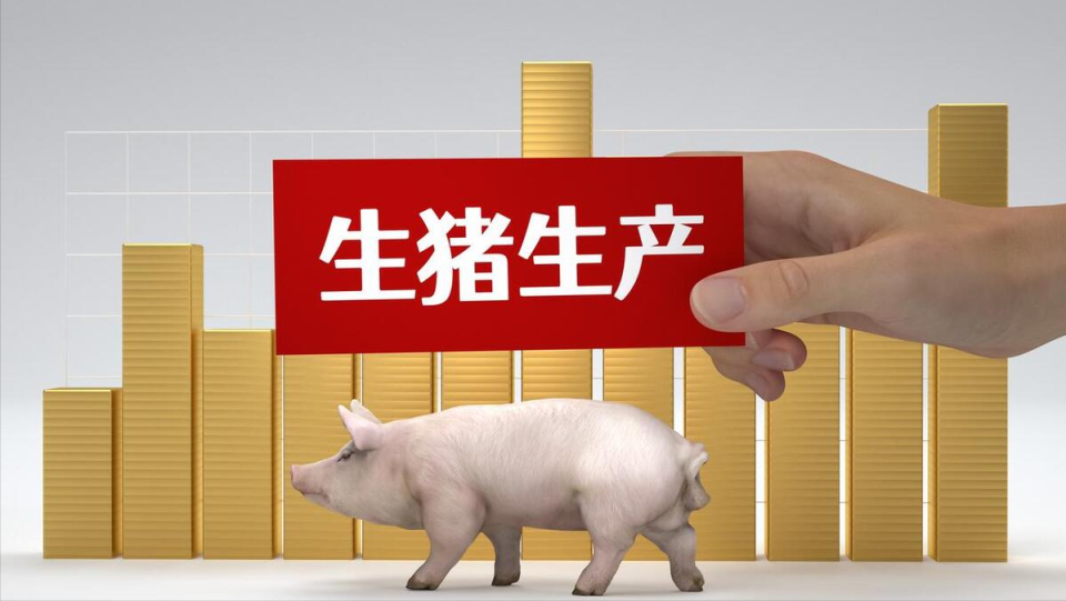 🔥蕉岭最新生猪价格今日更新🔥
