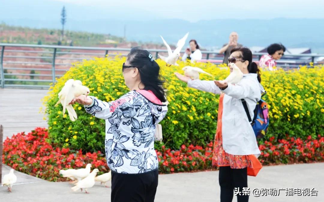 弥勒水上乐园最新消息揭秘！